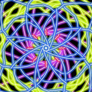 Meet your Posher, Ellyn